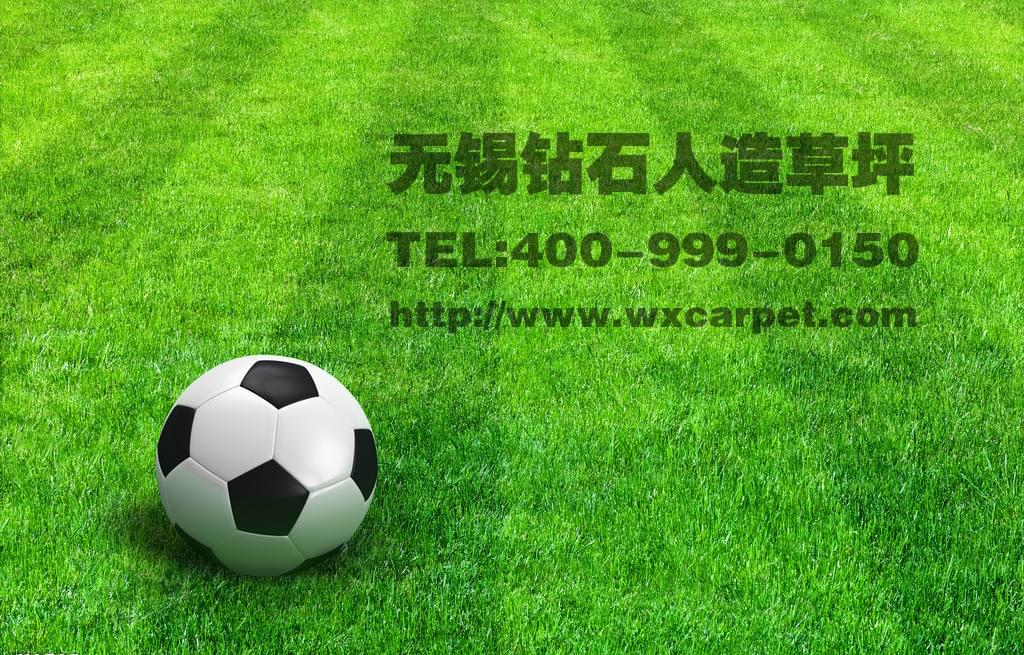 足球場人造草坪 足球場人造草坪