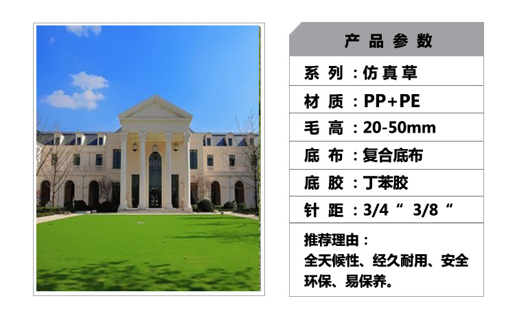 人造草坪,工程地毯,地毯廠家 人造草坪,工程地毯,地毯廠家