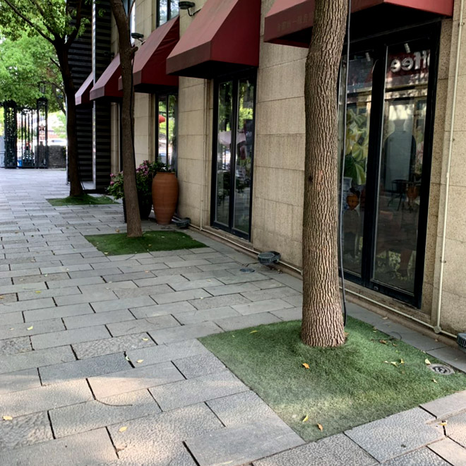 ZSBSC-3-3515 park2.jpg 人造草坪,工程地毯,地毯廠家